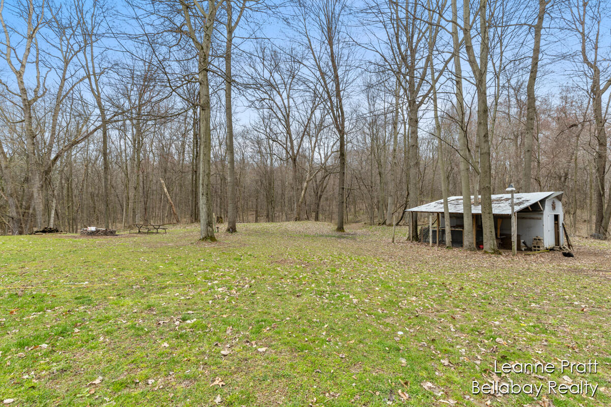 9580 South Banfield Road Dowling, MI 49050 - Photo 10 of 33 IMG_1032