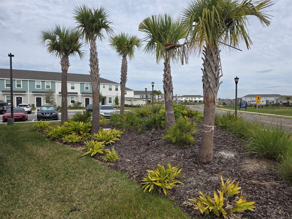 3318 Composition Street Kissimmee, FL 34758 - Photo 22 of 28 a view of a garden with a house and a garden