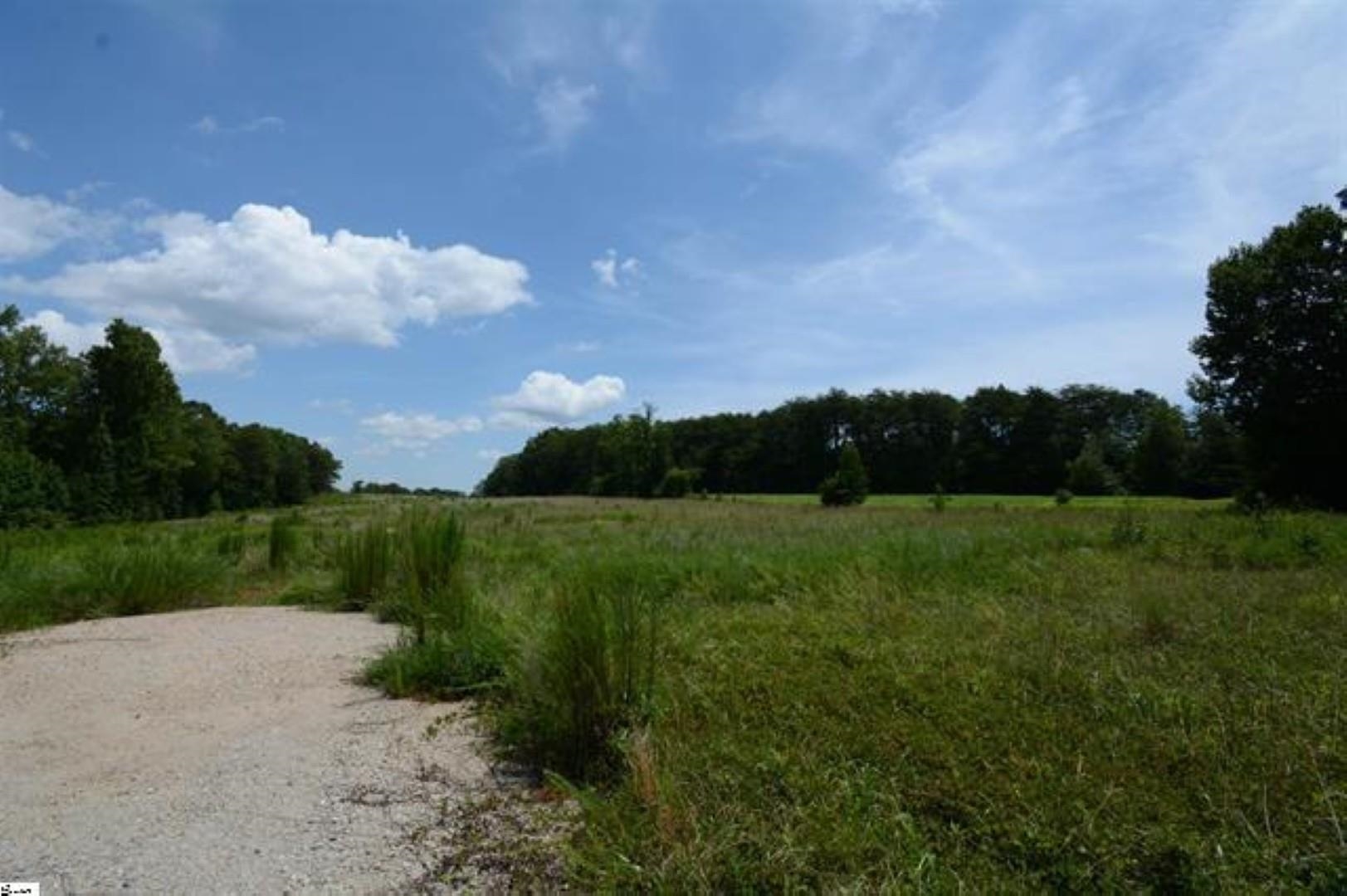 0 Line Road Greer, SC 29651 - Photo 7 of 7