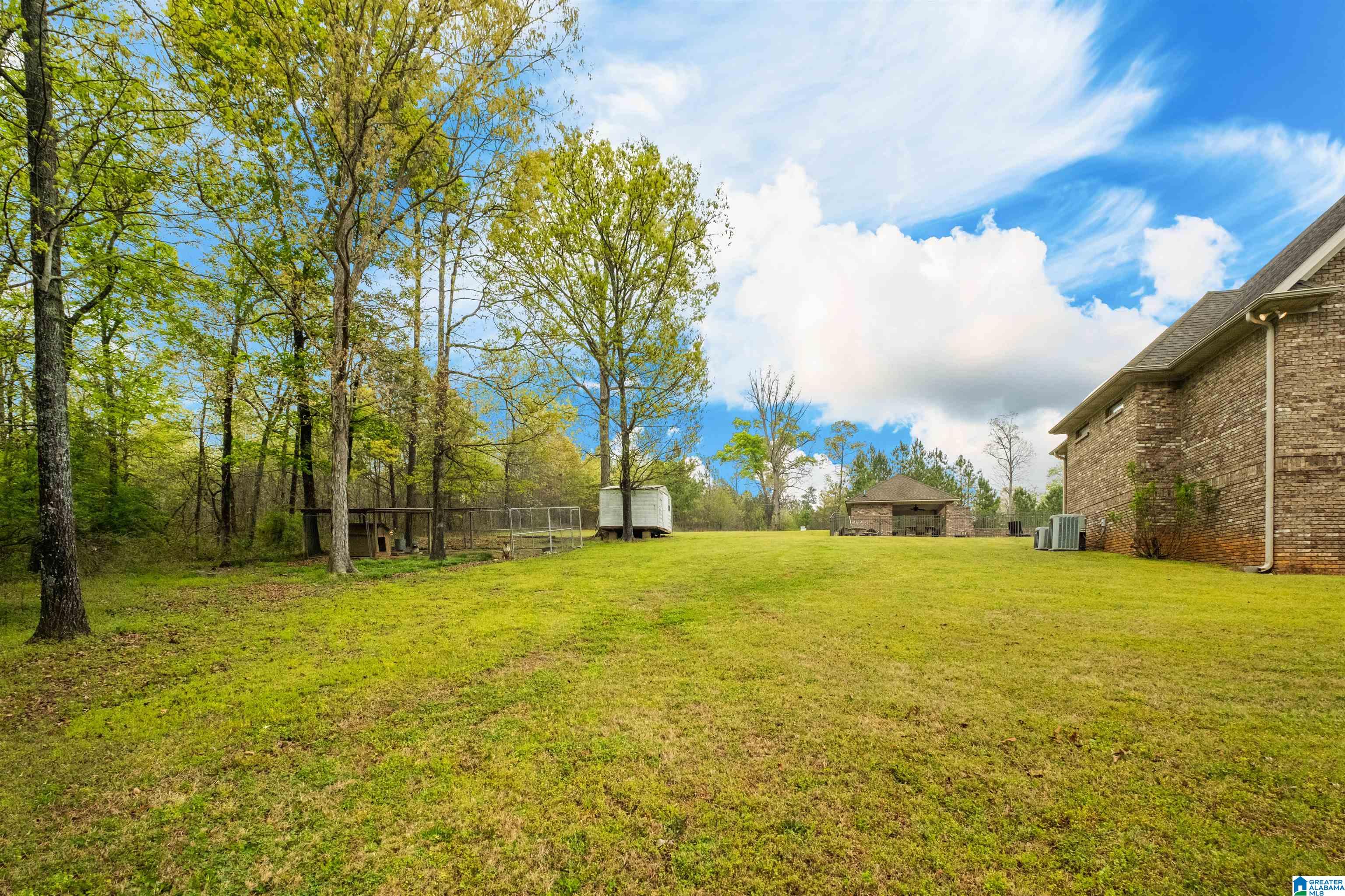 361 Mt Zion Road Cropwell, AL 35054 - Photo 66 of 74