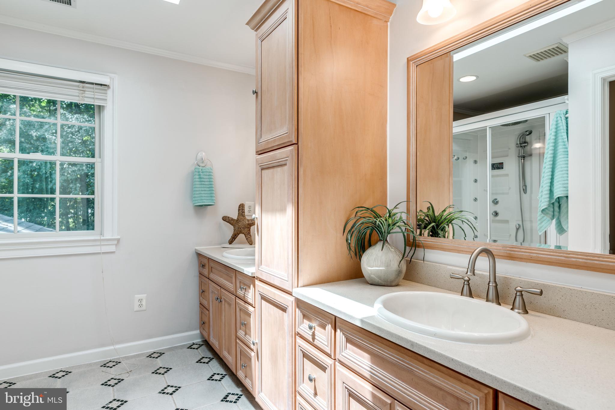 1224 Bishopsgate Way Reston, VA 20194 - Photo 25 of 65 Owner's Bath