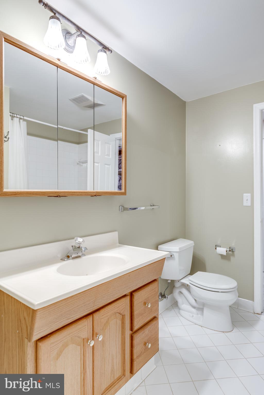 1224 Bishopsgate Way Reston, VA 20194 - Photo 48 of 65 Lower Level Full Bathroom