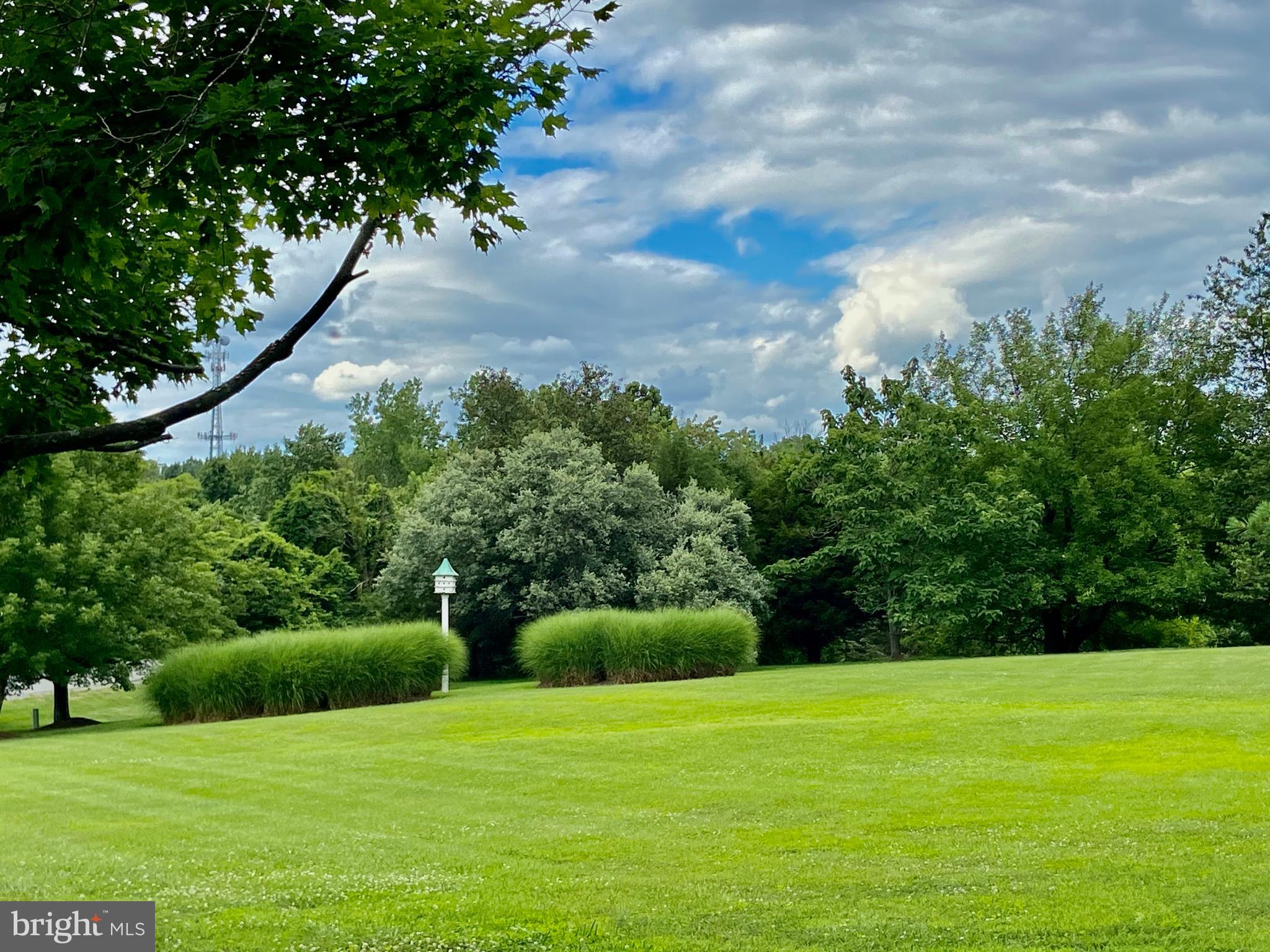 1224 Bishopsgate Way Reston, VA 20194 - Photo 63 of 65 Community Park