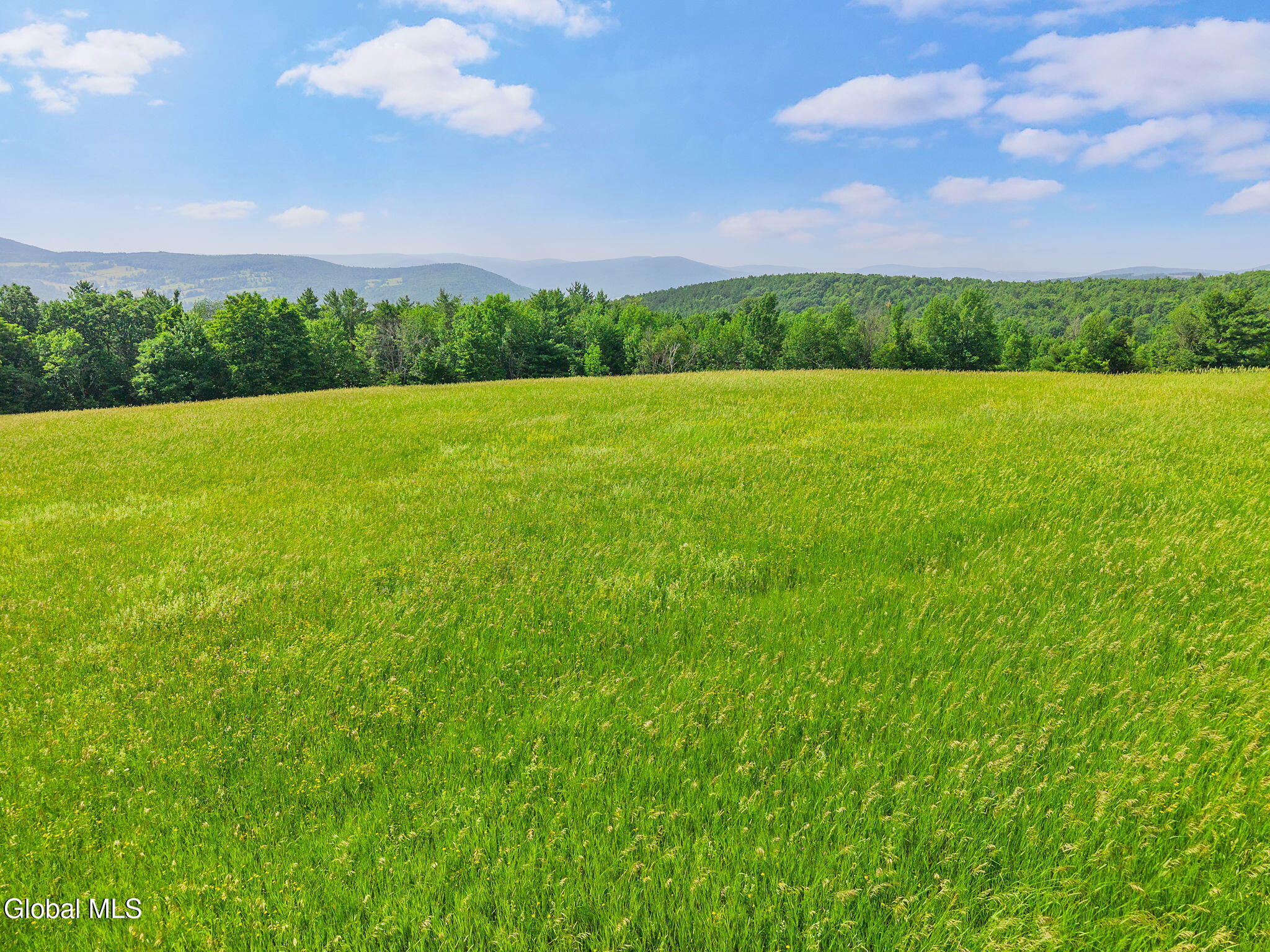 0 Debar Hill Road Middleburgh, NY 12122 - Photo 4 of 18 7-DebarHillRd_07
