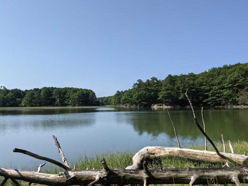 0 Forest Haven Boothbay, ME 04537 - Photo 2 of 7 2.