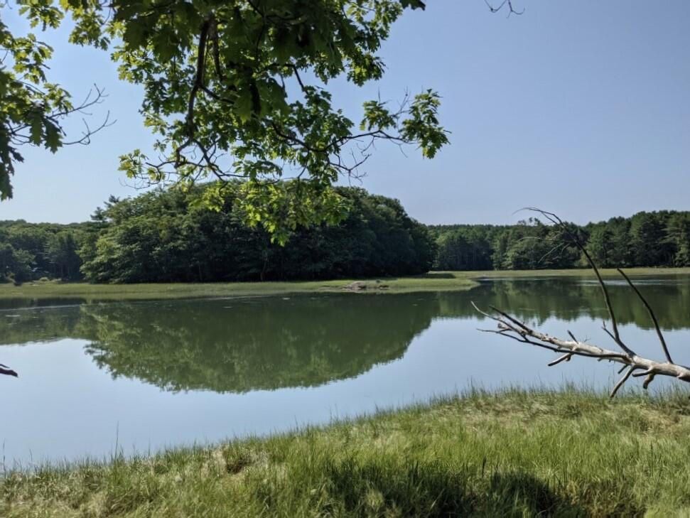 0 Forest Haven Boothbay, ME 04537 - Photo 3 of 7 3.