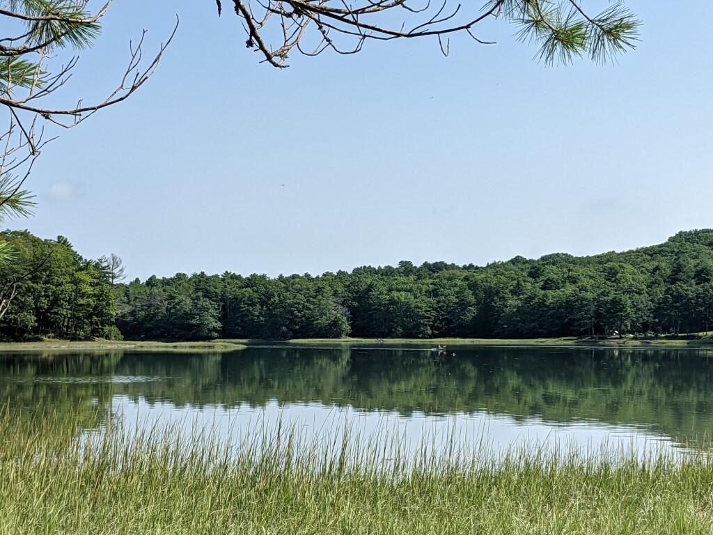 0 Forest Haven Boothbay, ME 04537 - Photo 4 of 7 4.