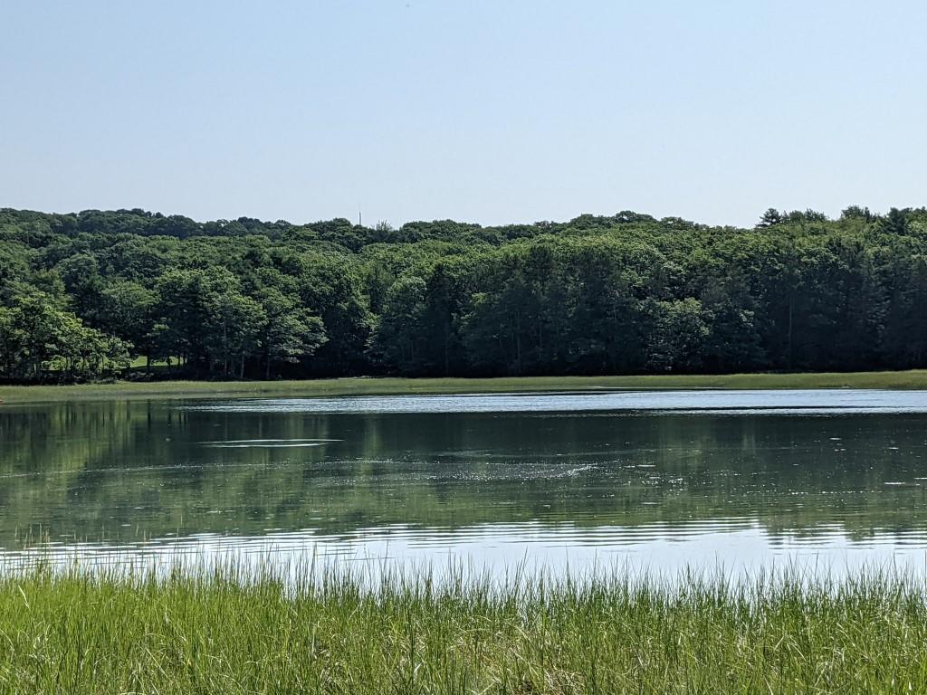0 Forest Haven Boothbay, ME 04537 - Photo 5 of 7 5.
