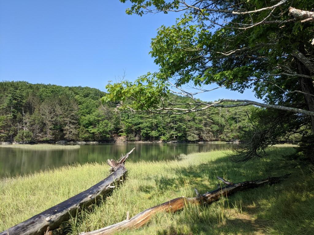 0 Forest Haven Boothbay, ME 04537 - Photo 6 of 7 6.