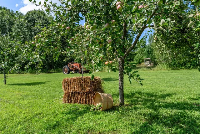 $399,900 | 1945 130th Avenue, Mora, MN 55051