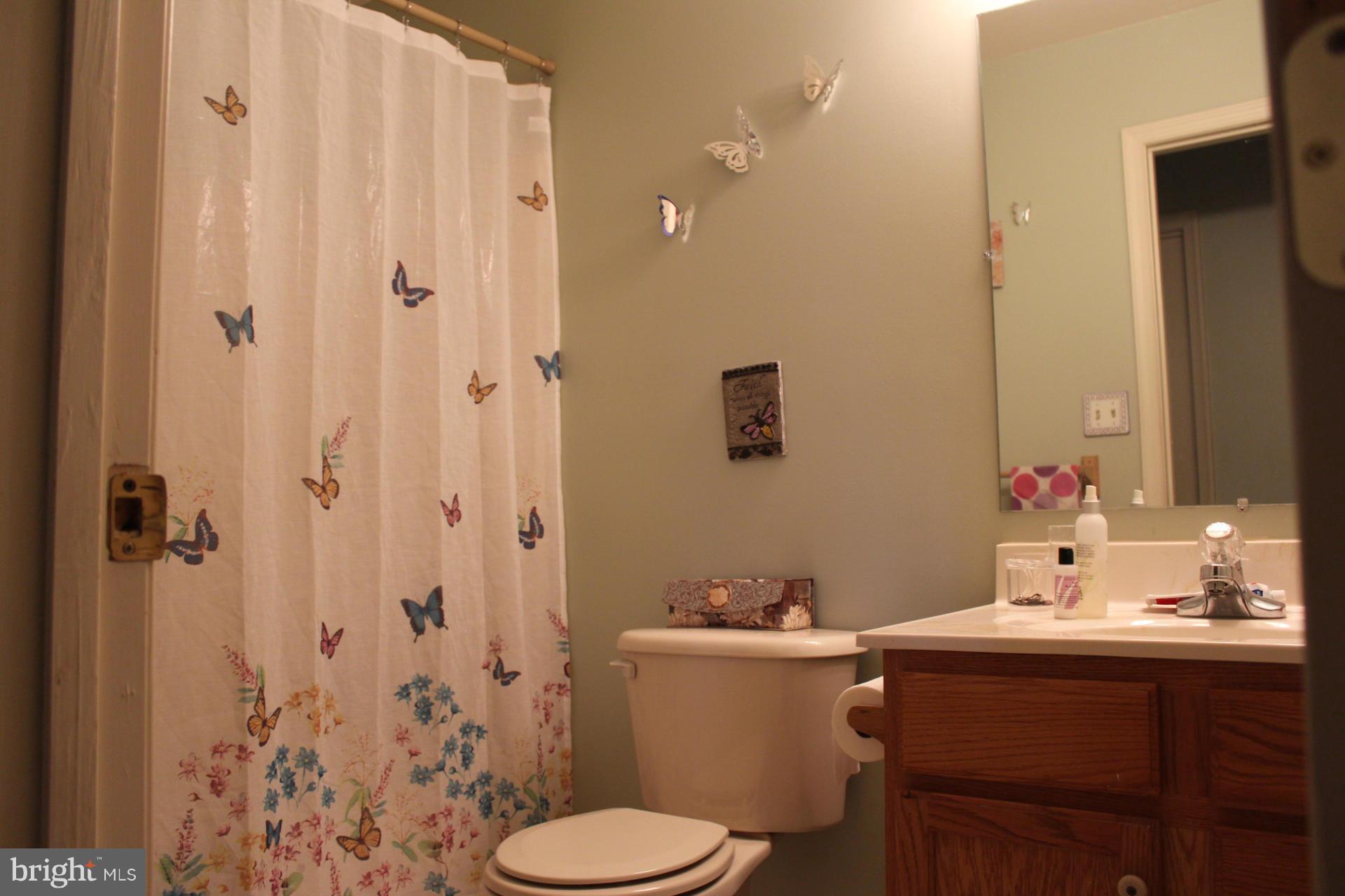 15427 Broadfording Road Clear Spring, MD 21722 - Photo 12 of 30 Bath