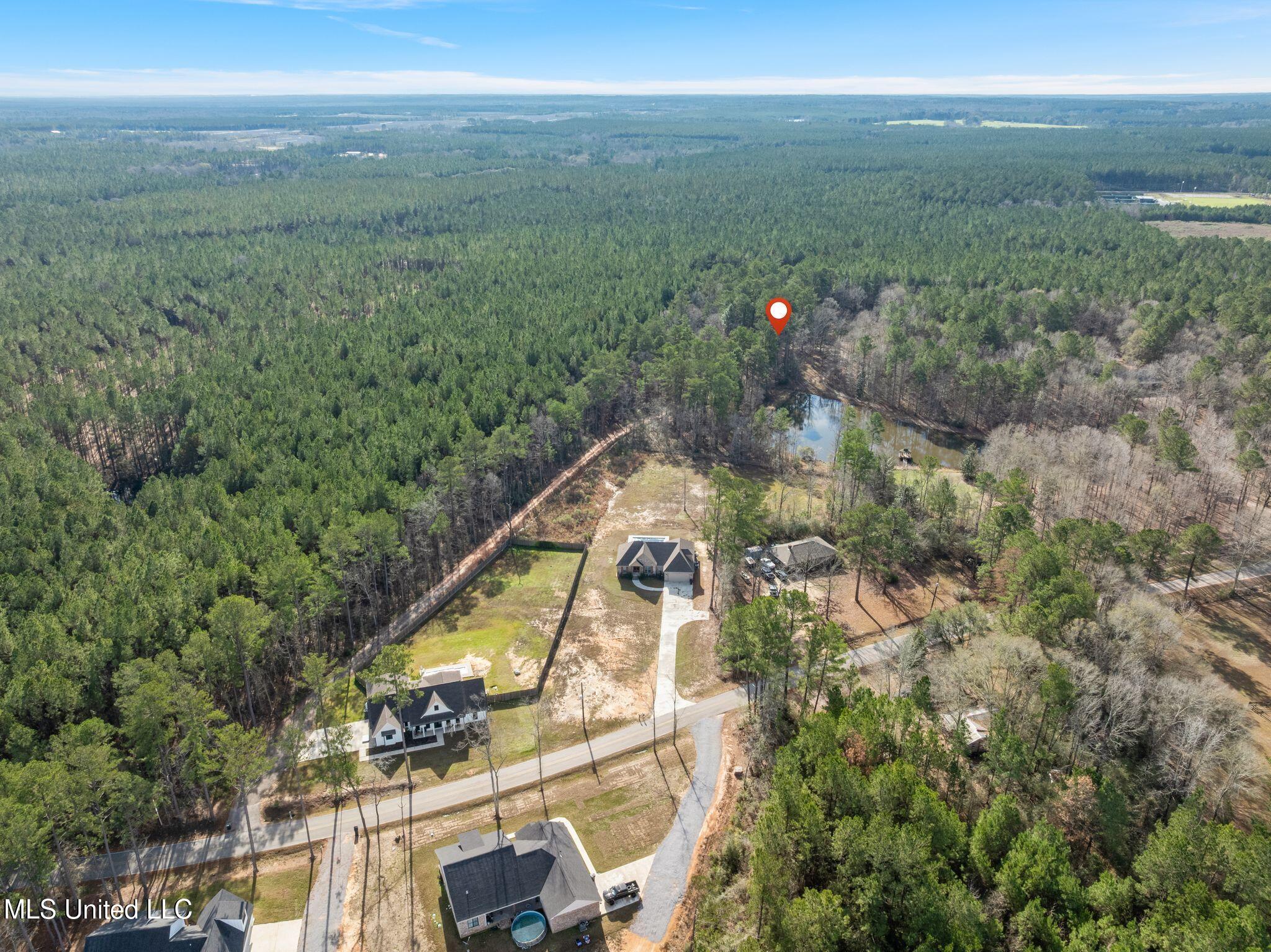 6.45-acres Todd Road Sumrall, MS 39482 - Photo 11 of 16 379_Todd_Rd-11