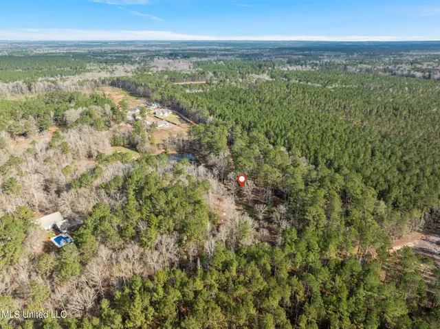 $109,500 | 6.45-acres Todd Road, Sumrall, MS 39482