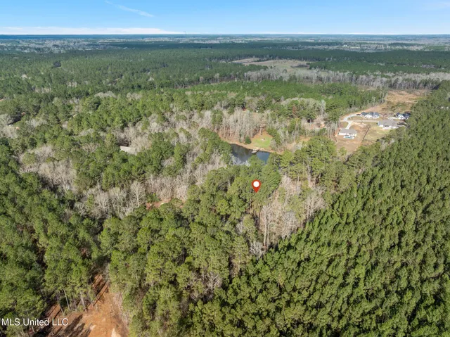 $109,500 | 6.45-acres Todd Road, Sumrall, MS 39482