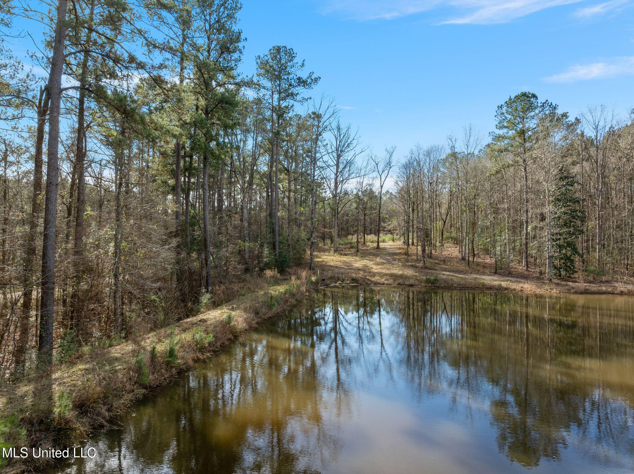 6.45-acres Todd Road Sumrall, MS 39482 - Photo 5 of 16 379_Todd_Rd-5