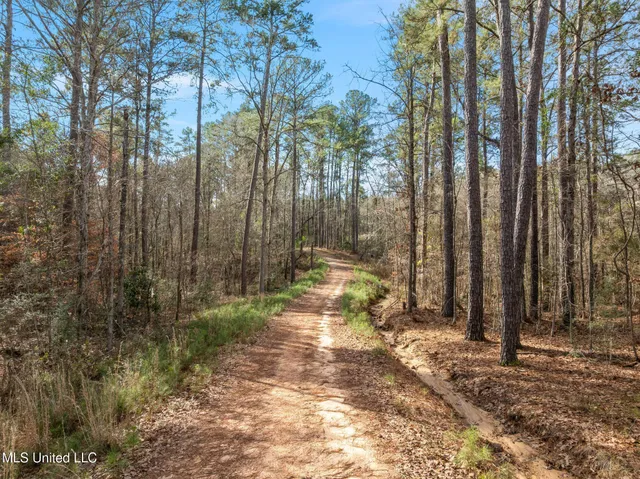$109,500 | 6.45-acres Todd Road, Sumrall, MS 39482