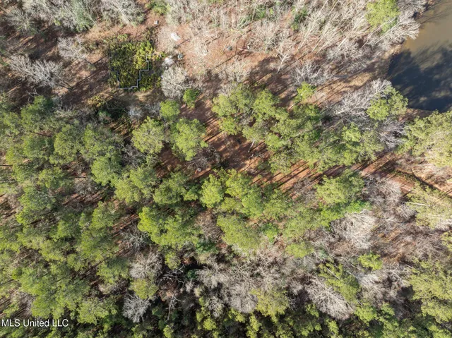 $109,500 | 6.45-acres Todd Road, Sumrall, MS 39482