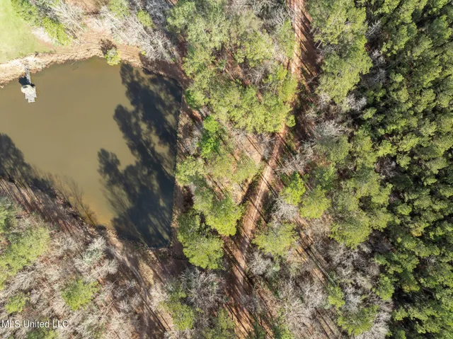 $109,500 | 6.45-acres Todd Road, Sumrall, MS 39482