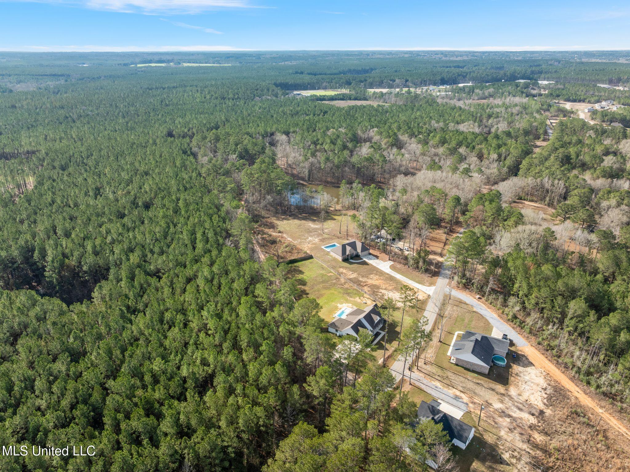 6.45-acres Todd Road Sumrall, MS 39482 - Photo 10 of 16 379_Todd_Rd-10