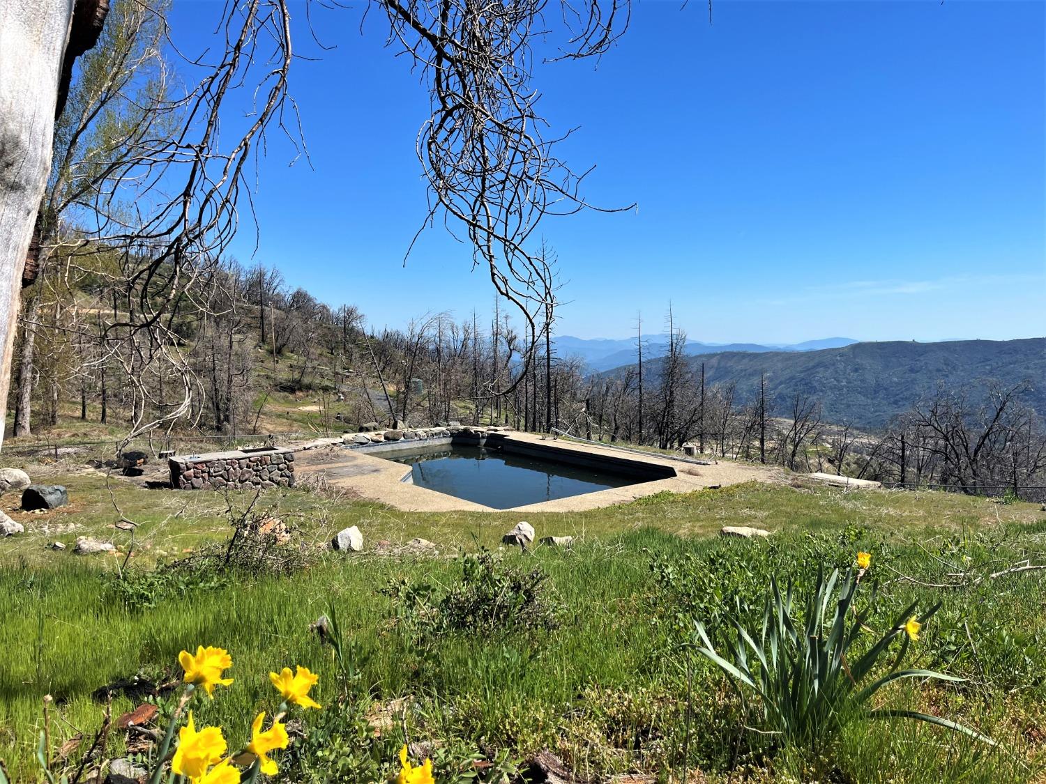 a view of a backyard with wooden fence