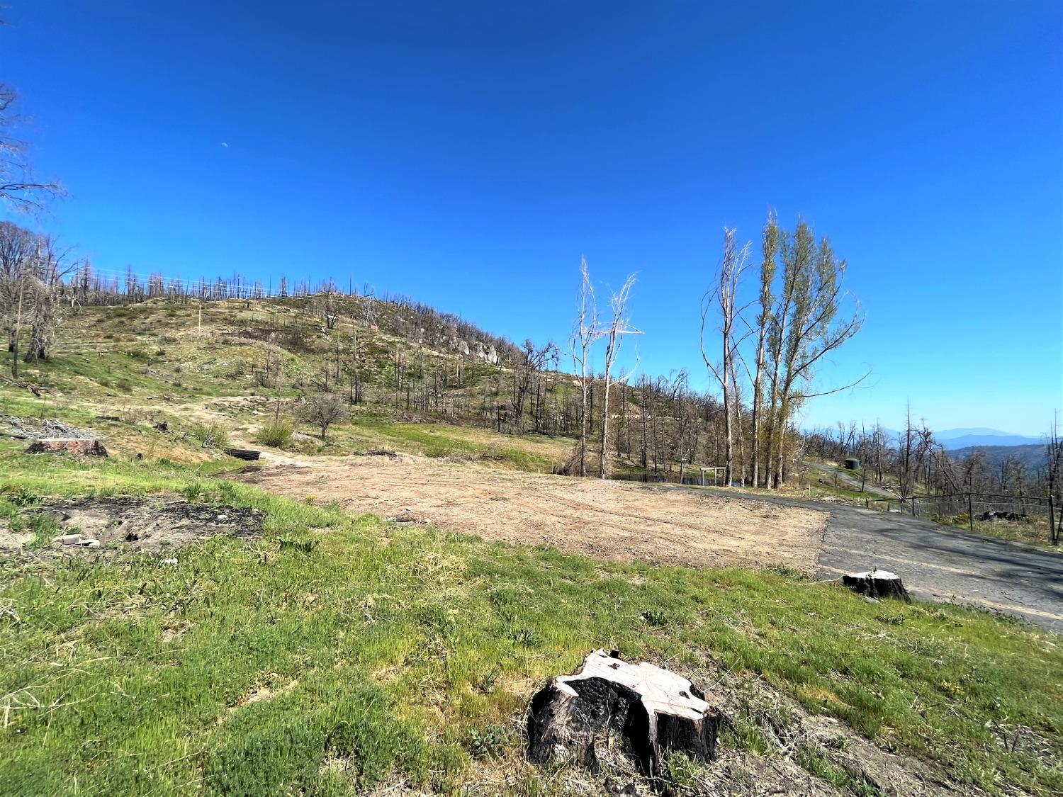 36021 Cressman Road Shaver Lake, CA 93602 - Photo 11 of 18 a view of a yard in front of the house