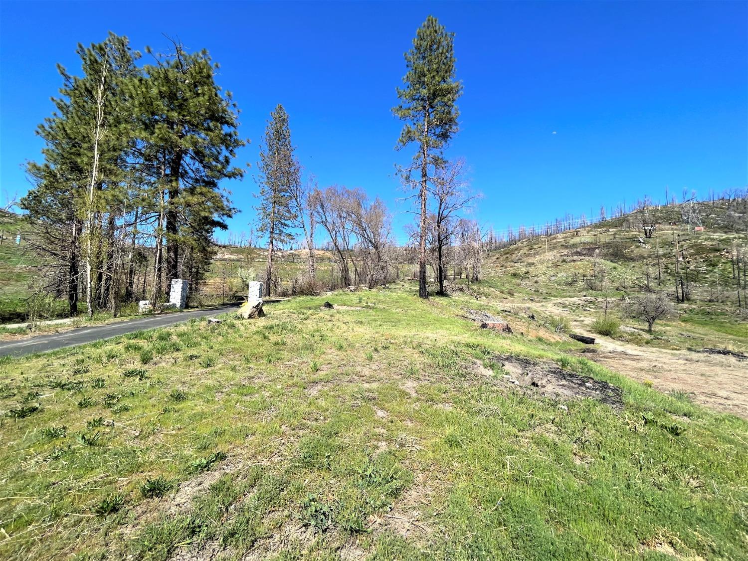 36021 Cressman Road Shaver Lake, CA 93602 - Photo 12 of 18 a view of a yard with wooden fence