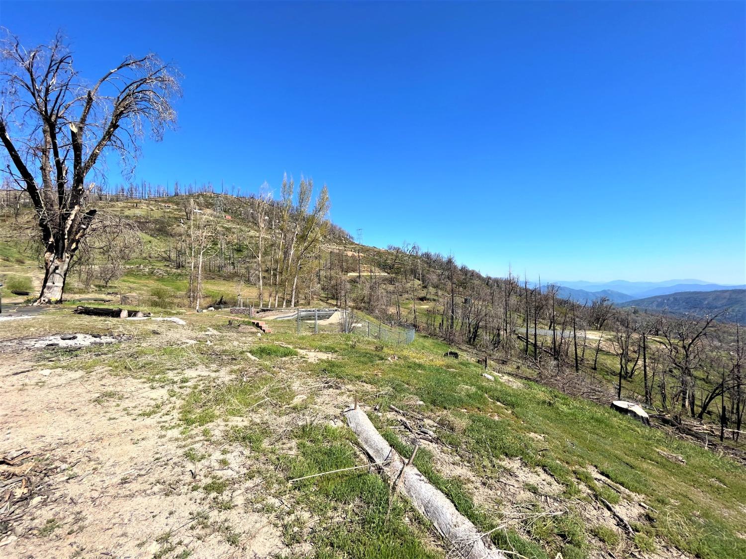 36021 Cressman Road Shaver Lake, CA 93602 - Photo 14 of 18 a view of a yard with an trees