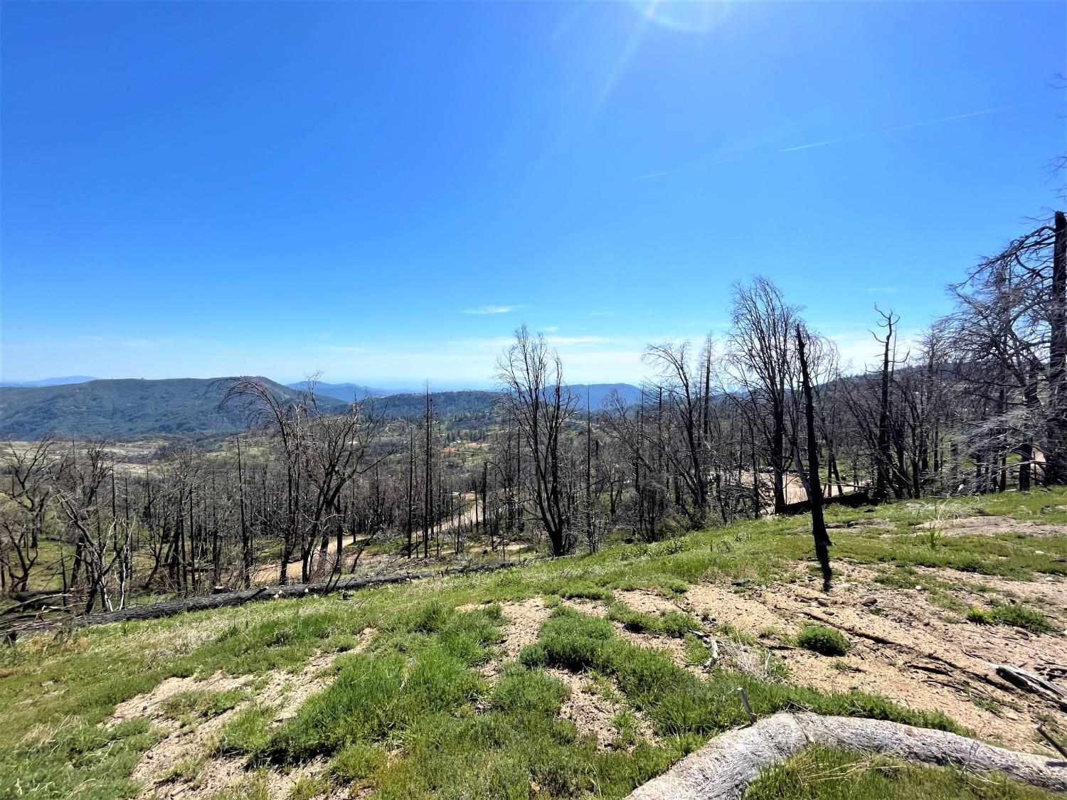 36021 Cressman Road Shaver Lake, CA 93602 - Photo 15 of 18 a view of a park with a tree in the background