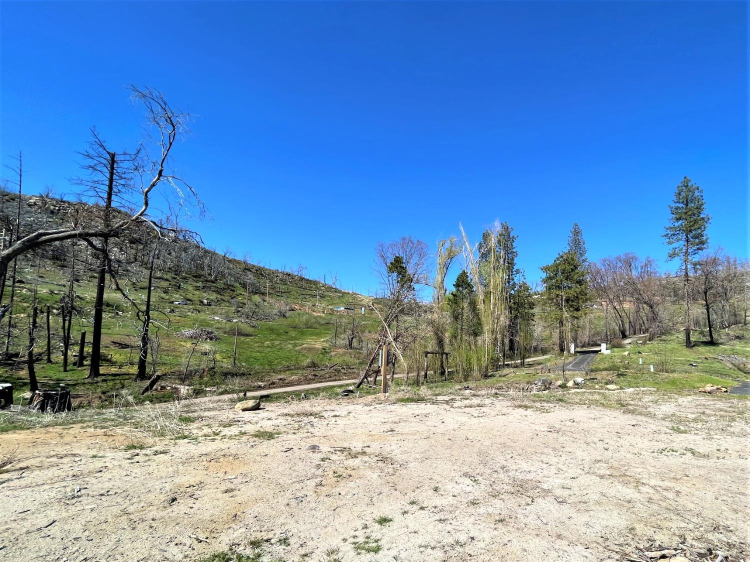 36021 Cressman Road Shaver Lake, CA 93602 - Photo 16 of 18 a view of a yard with a house