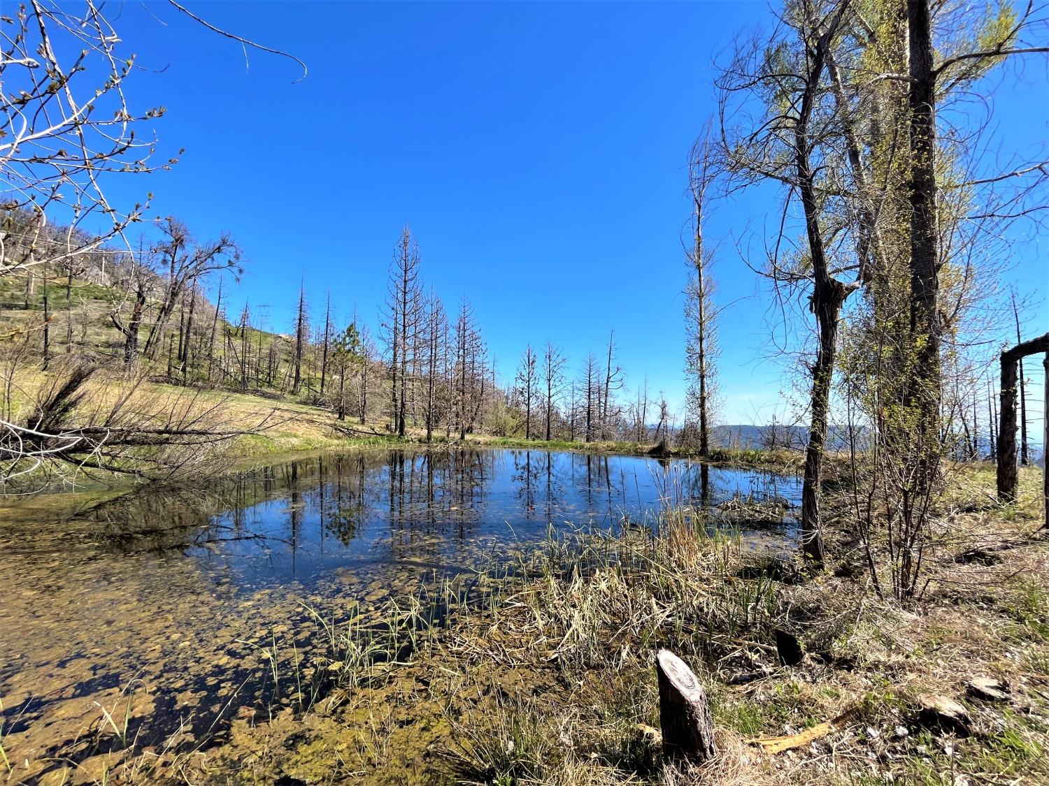 36021 Cressman Road Shaver Lake, CA 93602 - Photo 2 of 18 a view of a yard with wooden fence
