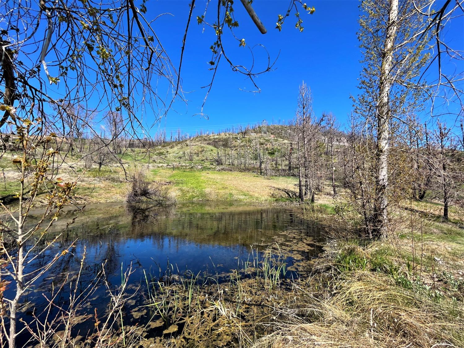 36021 Cressman Road Shaver Lake, CA 93602 - Photo 4 of 18 a view of a backyard