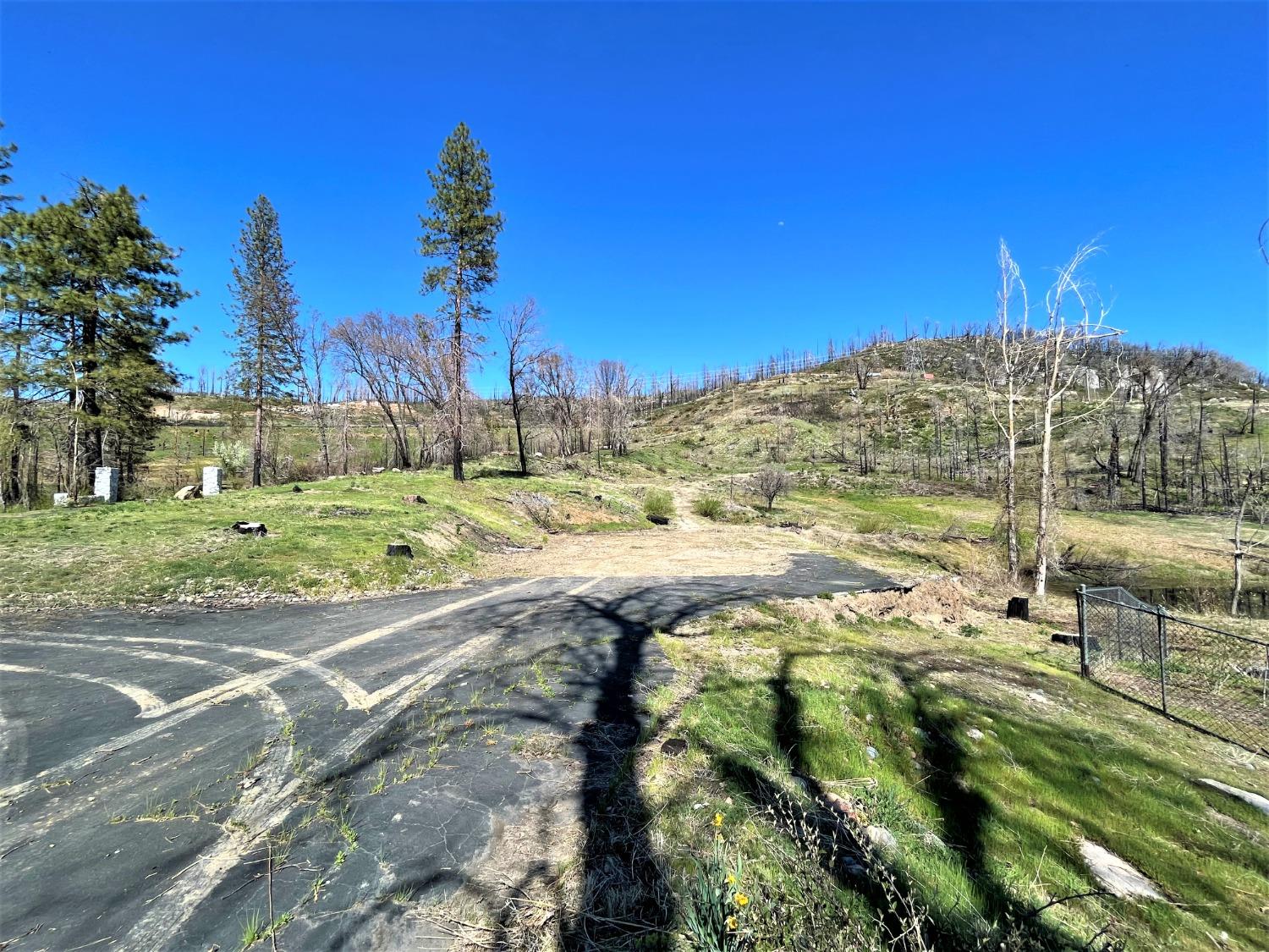 36021 Cressman Road Shaver Lake, CA 93602 - Photo 6 of 18 a view of a yard with an trees