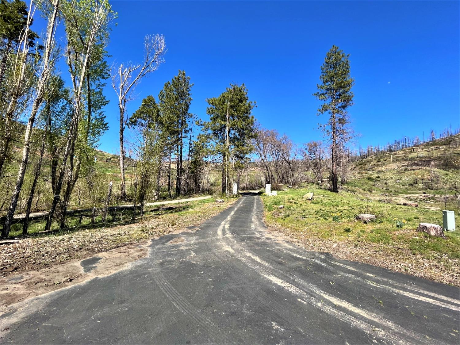 36021 Cressman Road Shaver Lake, CA 93602 - Photo 8 of 18 a view of a yard with plants and trees