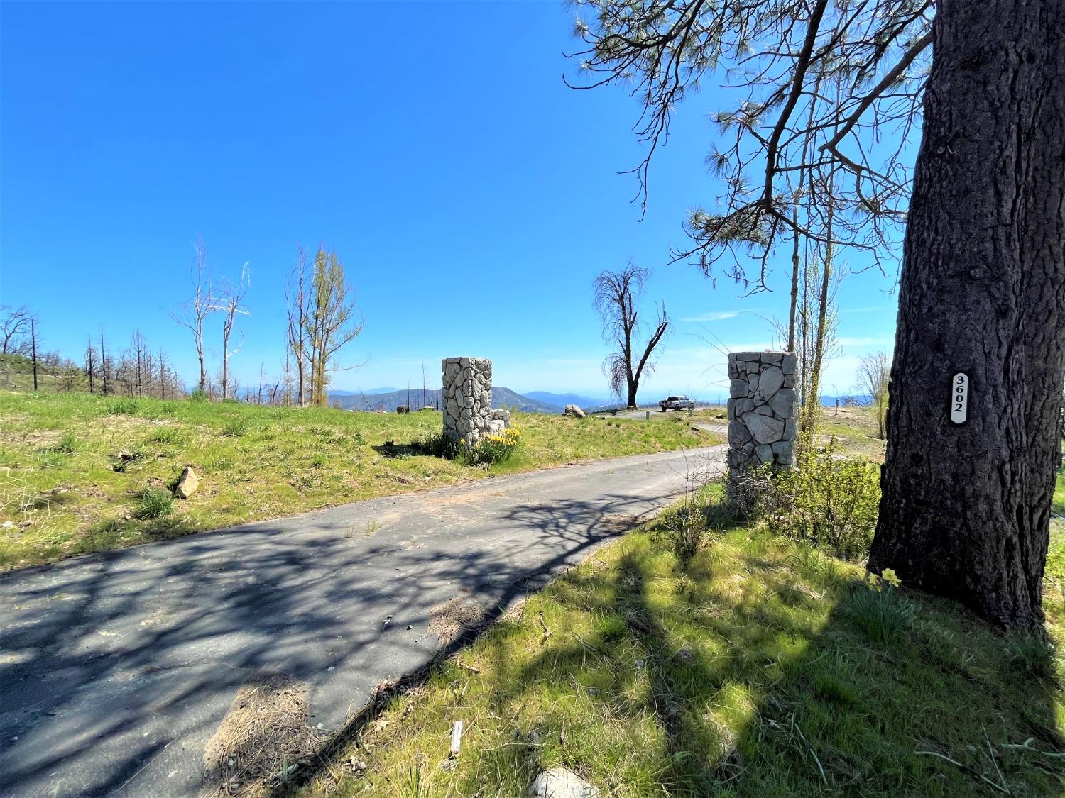36021 Cressman Road Shaver Lake, CA 93602 - Photo 9 of 18 a view of a backyard