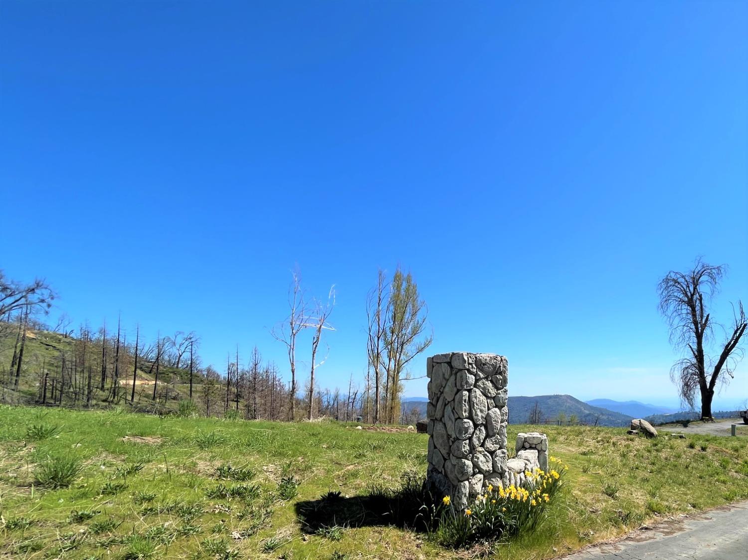36021 Cressman Road Shaver Lake, CA 93602 - Photo 10 of 18 a view of a garden with a building in the background