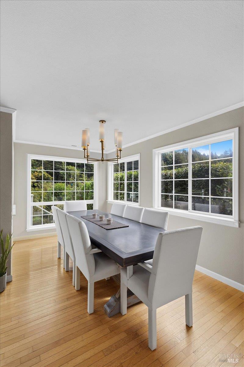 22753 Sylvan Way Monte Rio, CA 95462 - Photo 21 of 83 Gallery Image 21