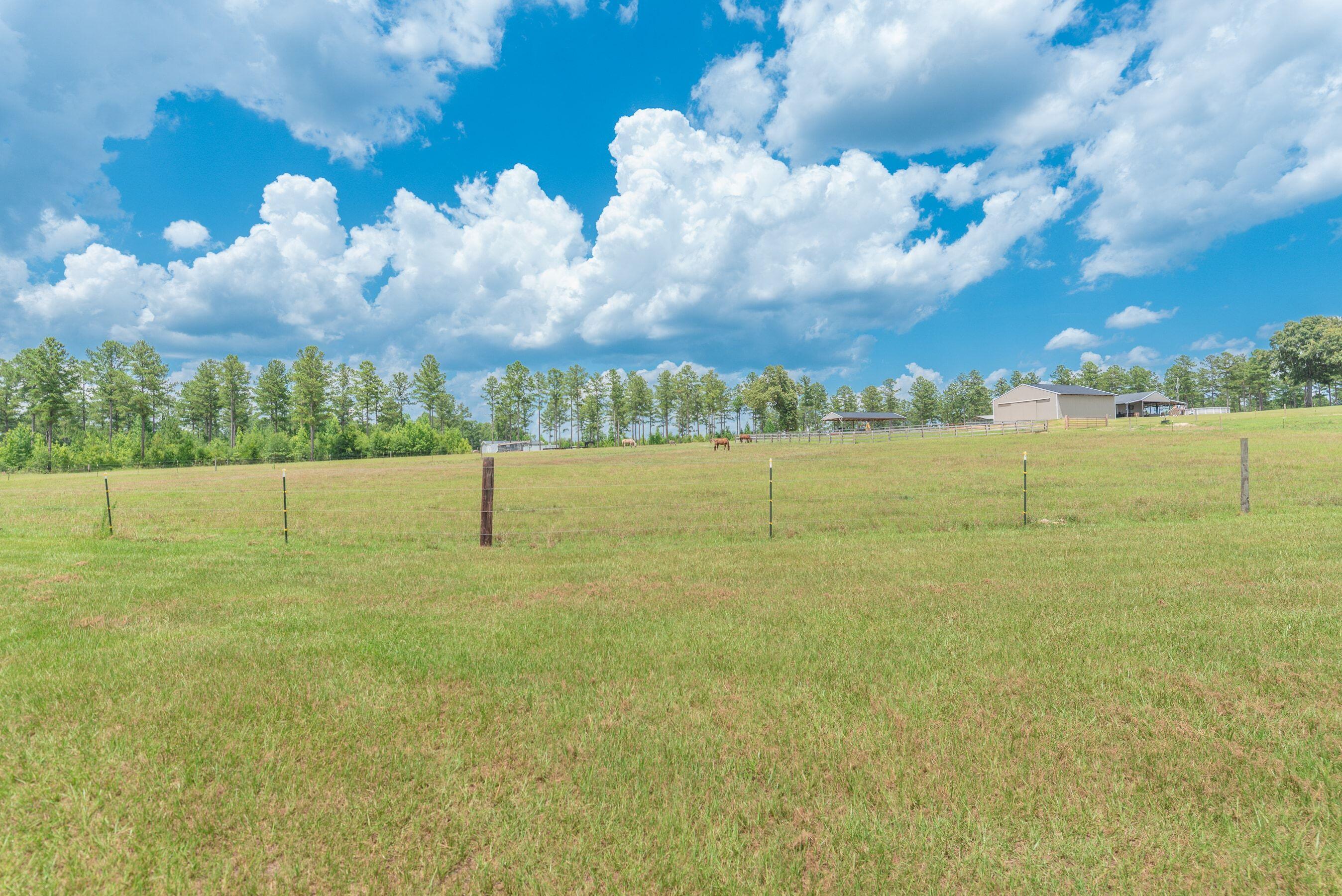 2650 State Rd S-6-54 Barnwell, SC 29812 - Photo 69 of 80