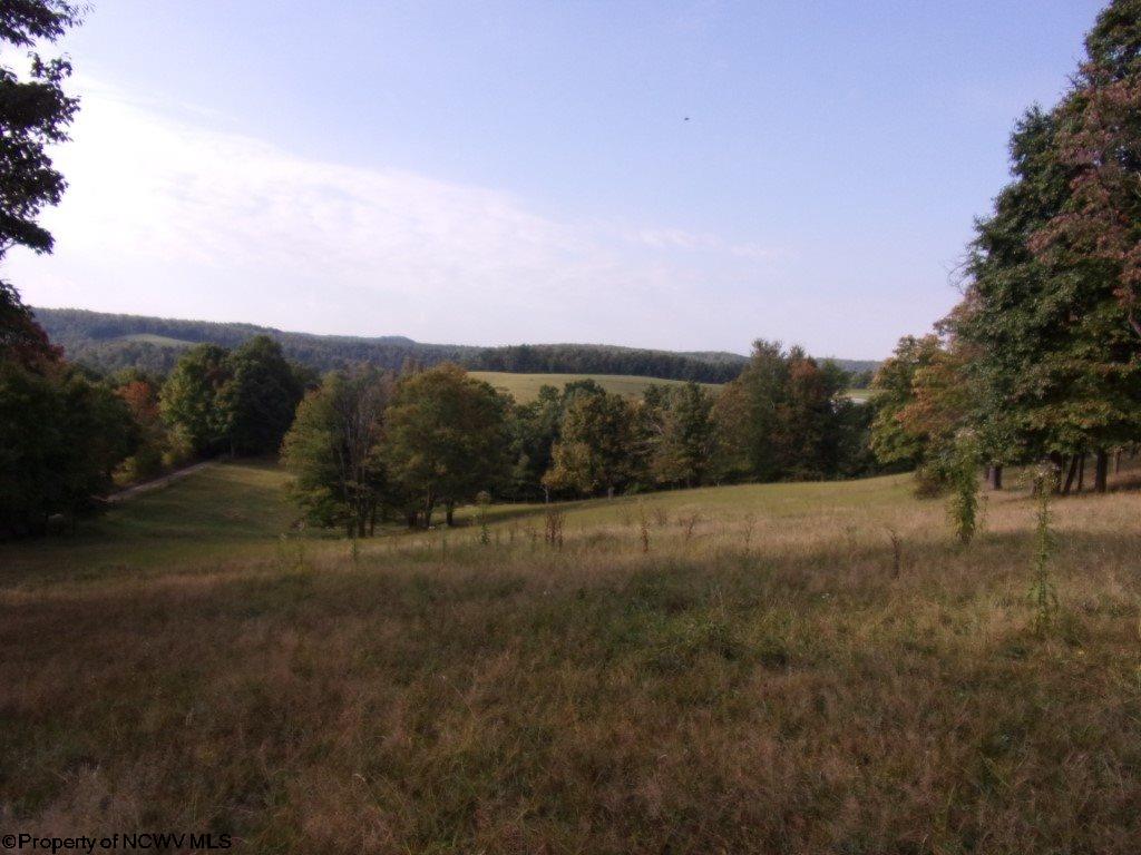 0 Georgetown Road Belington, WV 26250 - Photo 1 of 9 Gallery Image 1