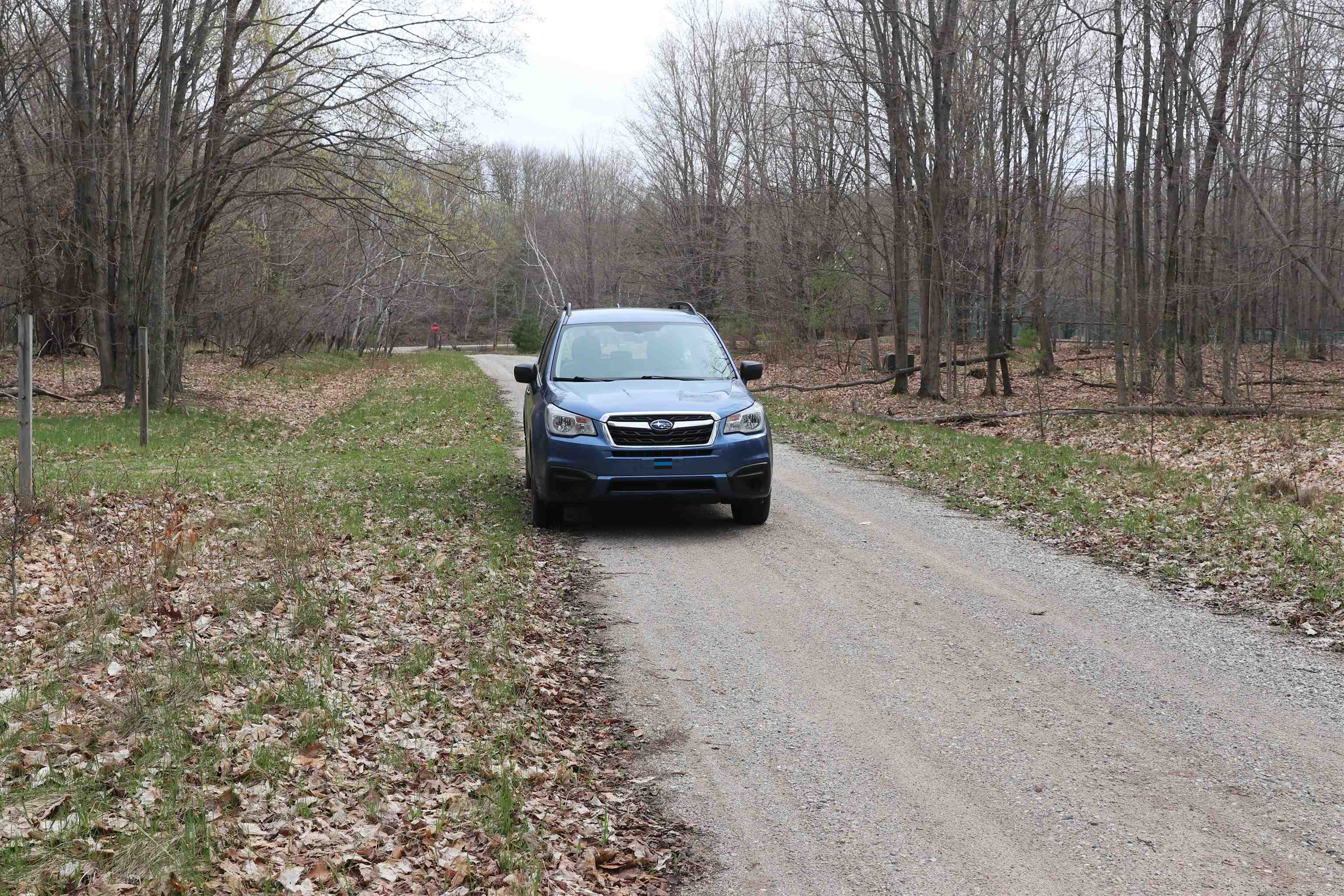 Lot 14 Crystal View Common Frankfort, MI 49635 - Photo 3 of 6