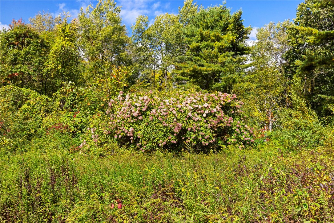 1212 Southbridge Road Warren, MA 01083 - Photo 16 of 32