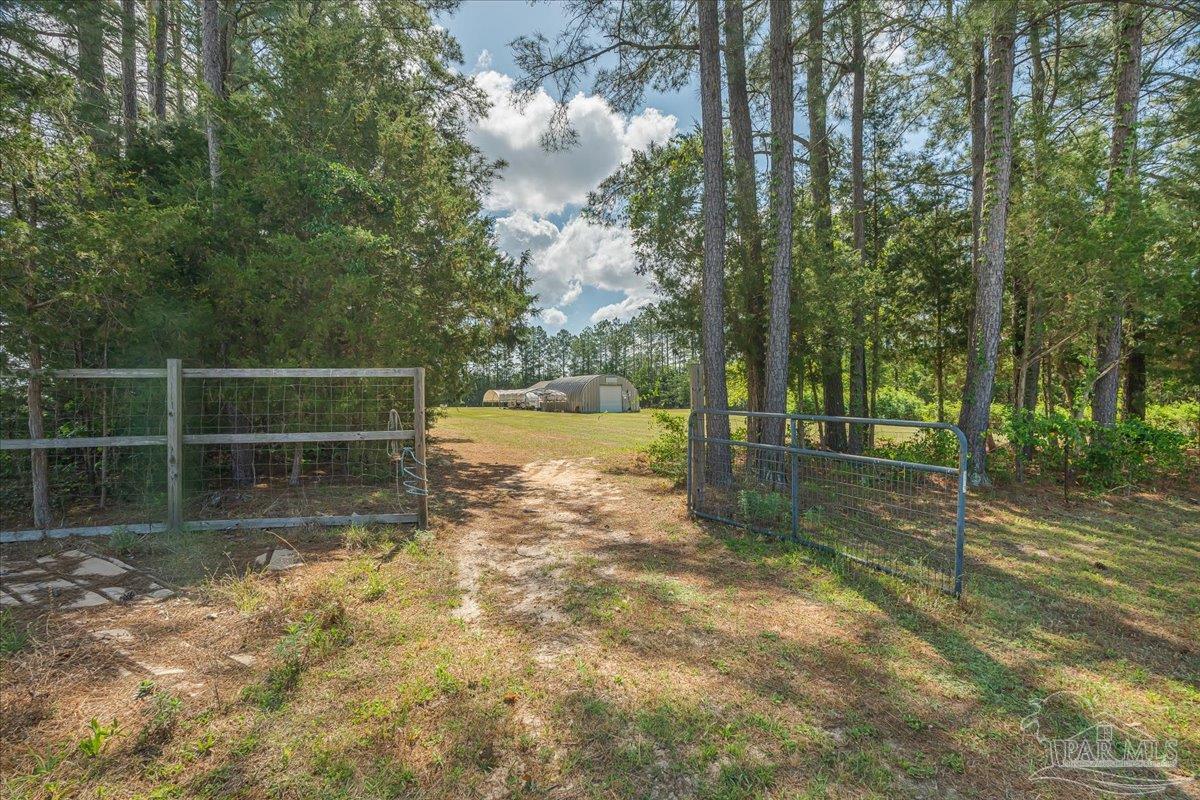 6374 Perfect Acres Road Milton, FL 32570 - Photo 54 of 66