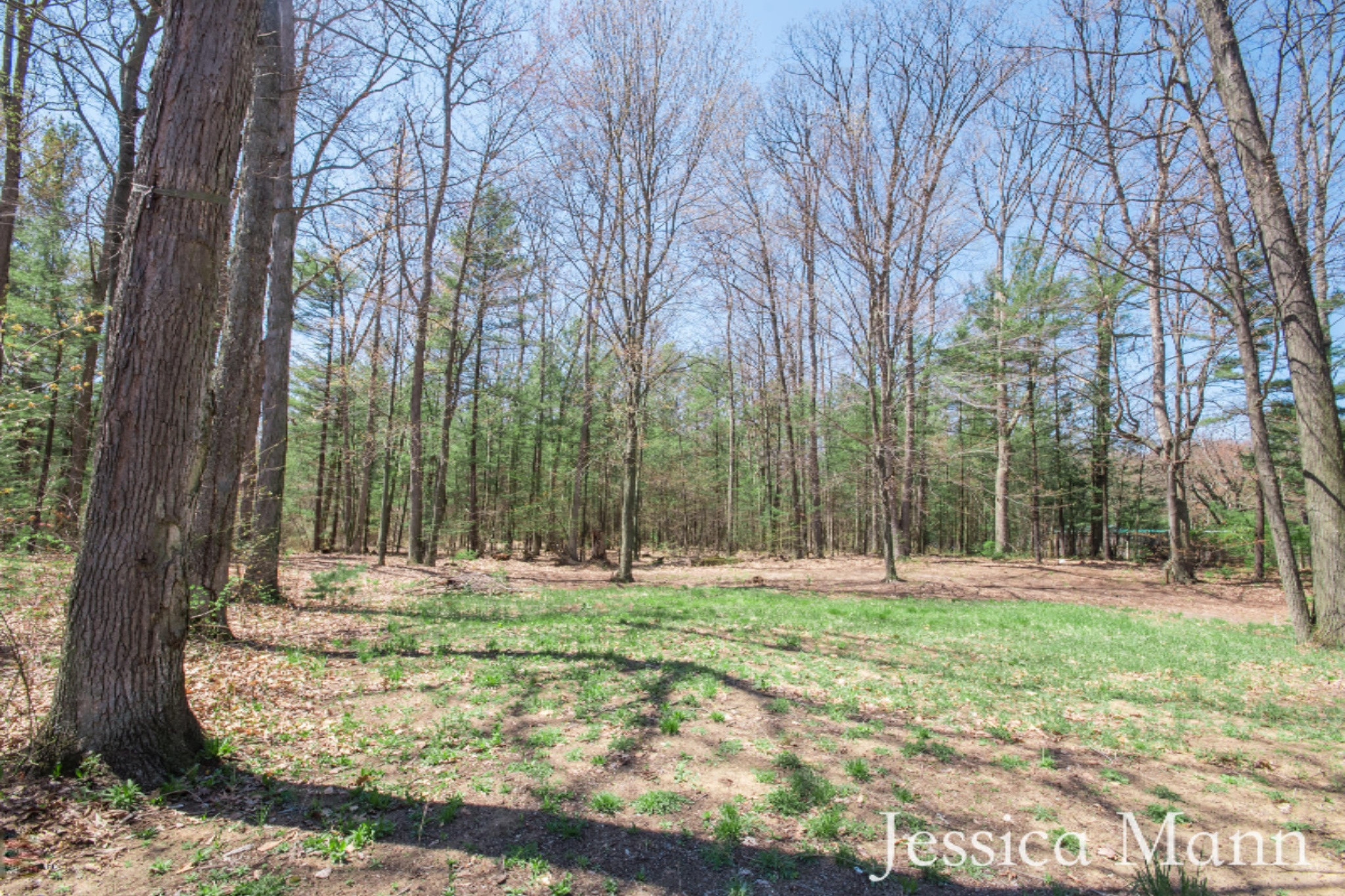 1623 South Sullivan Road Ravenna, MI 49451 - Photo 12 of 13 KHP_6602