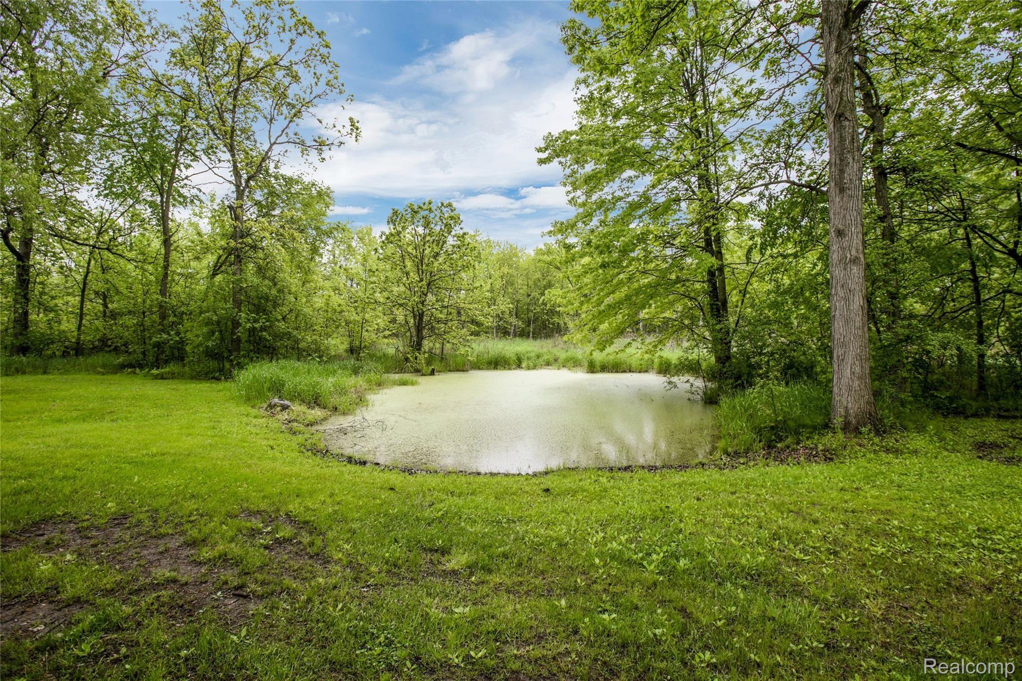385 Jennings Road Whitmore Lake, MI 48189 - Photo 20 of 23 385 Jennings Rd Whitmore Lake-print-021-21-385 Jennings Rd00022-4200x2800-300dpi.jpg