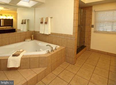 7420 Jenna Road Springfield, VA 22153 - Photo 14 of 30 Bath (Master)