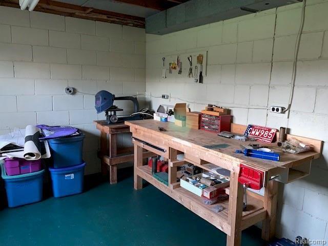 3354 North Branch Road North Branch, MI 48461 - Photo 27 of 32 IMG_0751.jpg