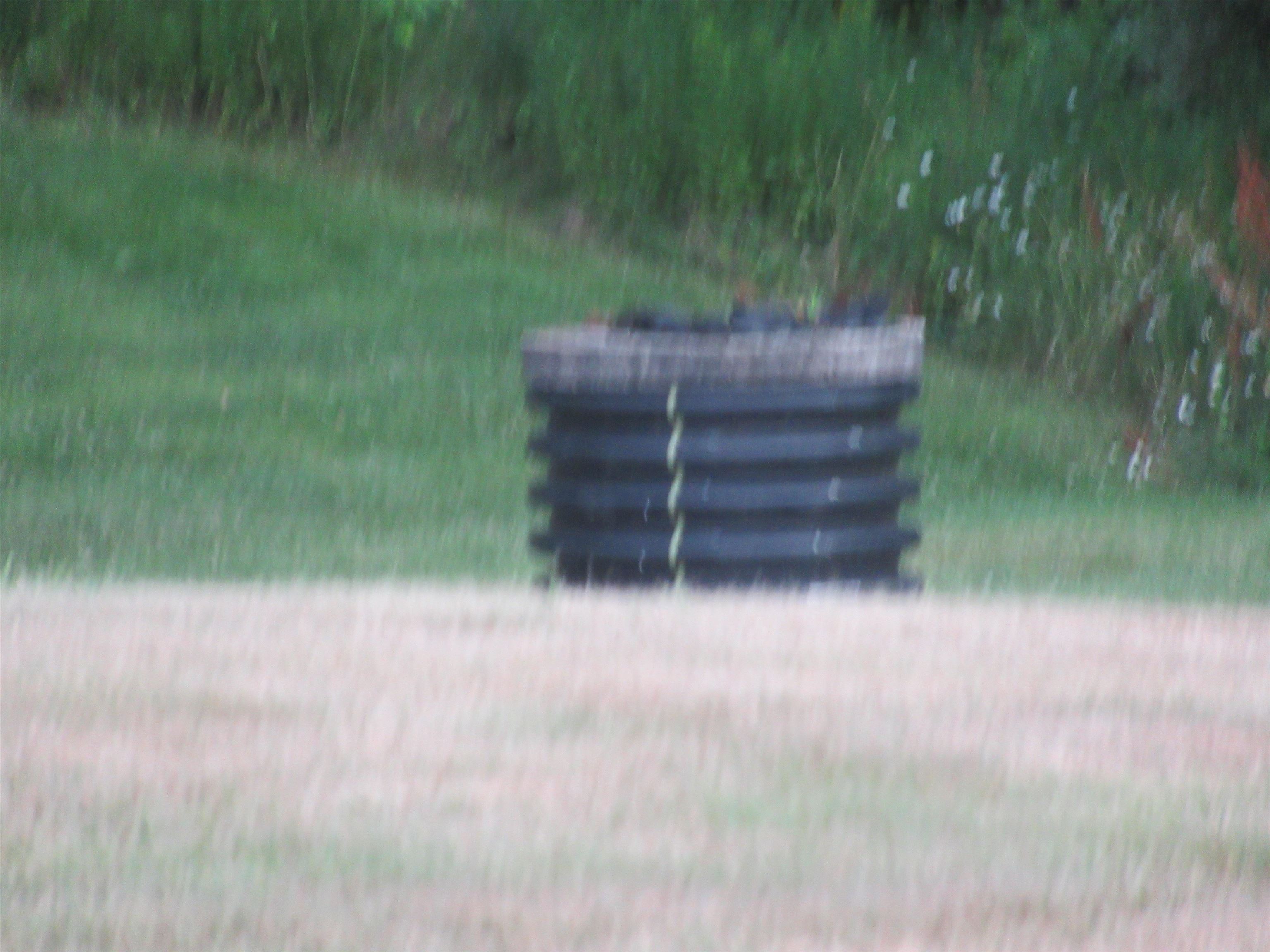 20 Kilrea Road Derry, NH 03038 - Photo 18 of 29