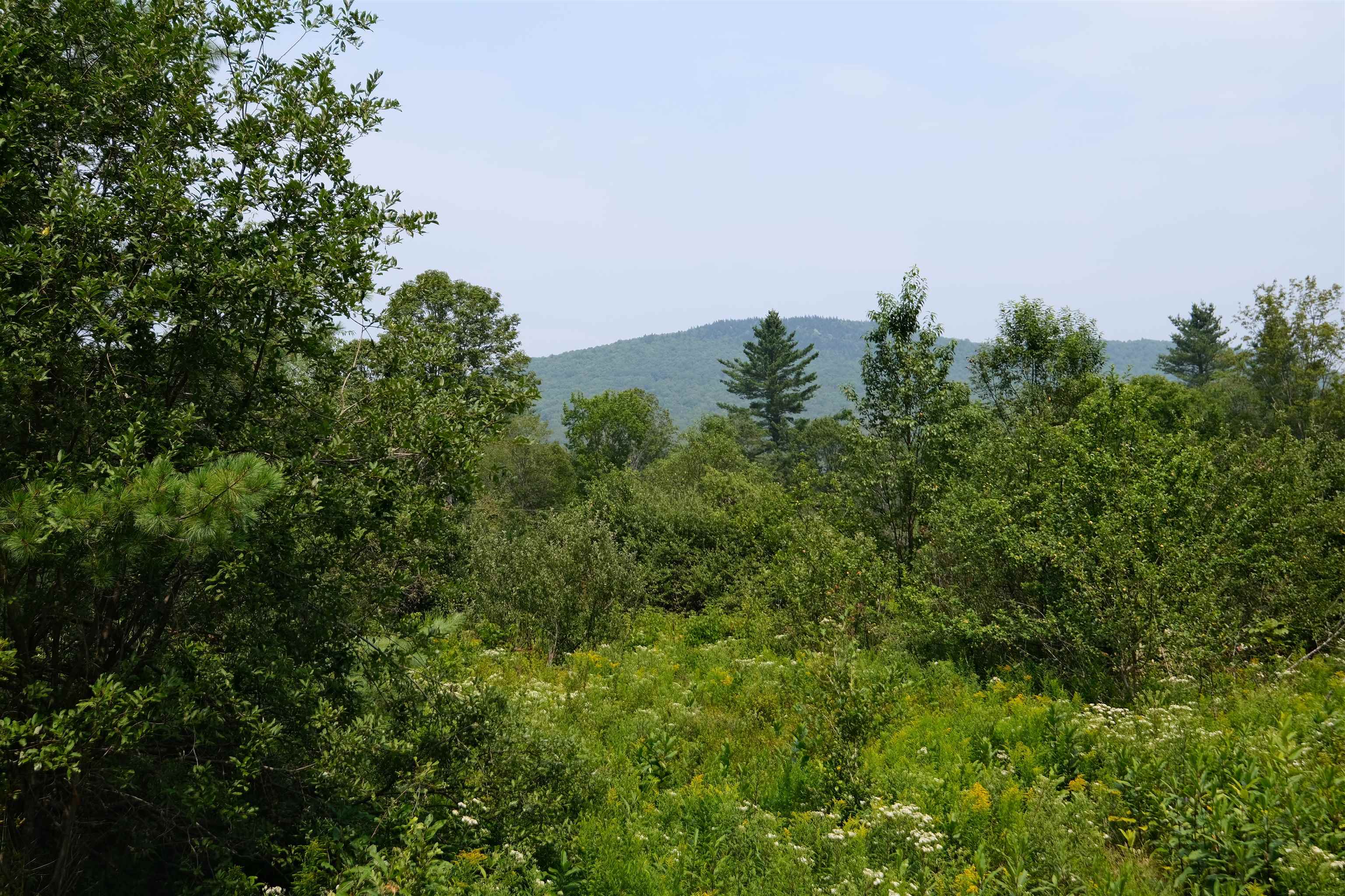525 Station Road, Unit 2 Mount Holly, VT 05758 - Photo 9 of 20