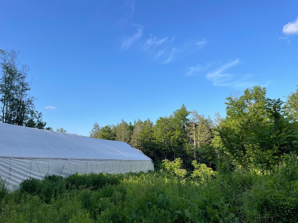137 Beldingville Road Ashfield, MA 01370 - Photo 23 of 24