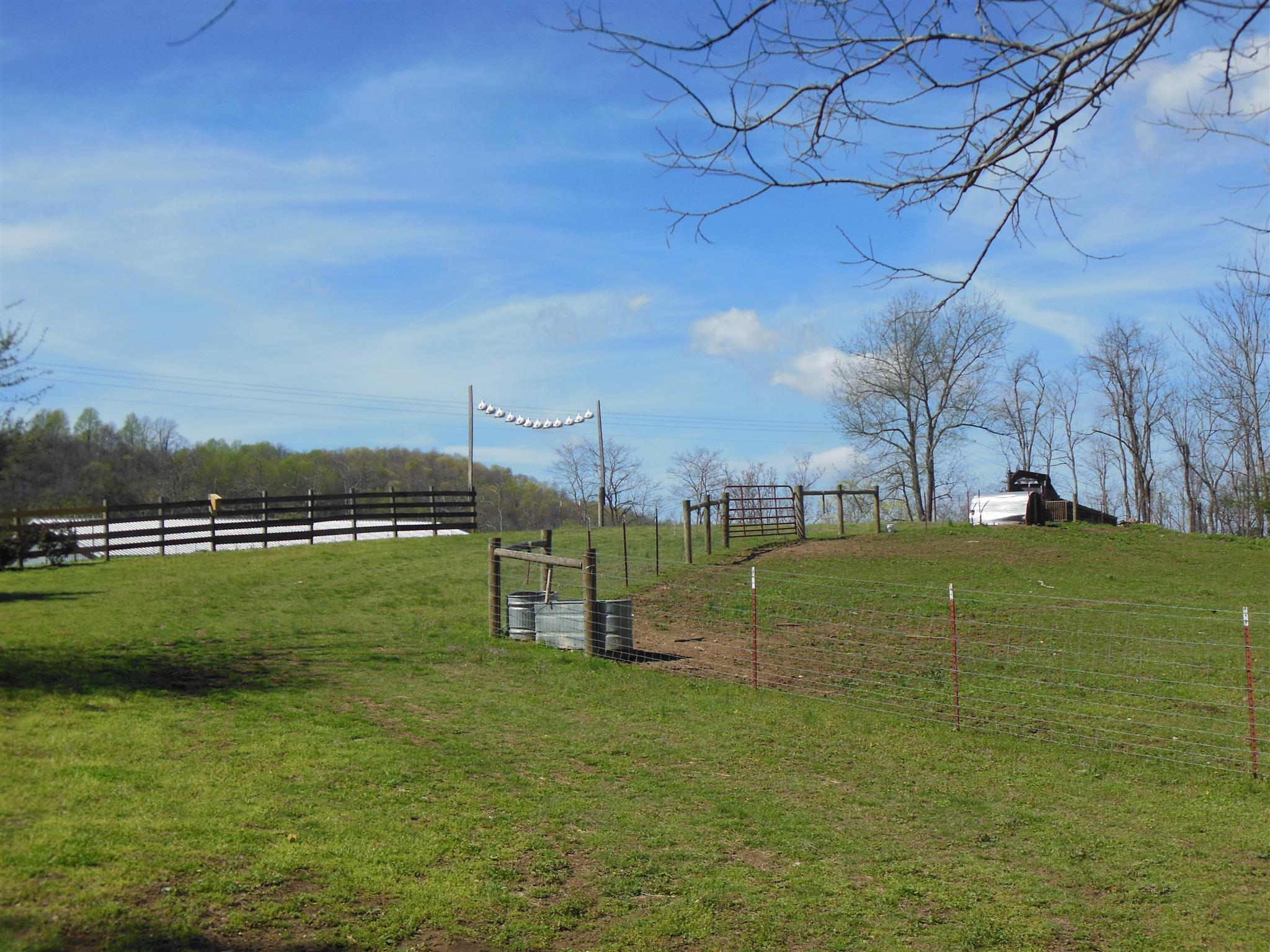 1345 Cochran Cemetery Road Lewisburg, TN 37091 - Photo 17 of 30 Gallery Image 17