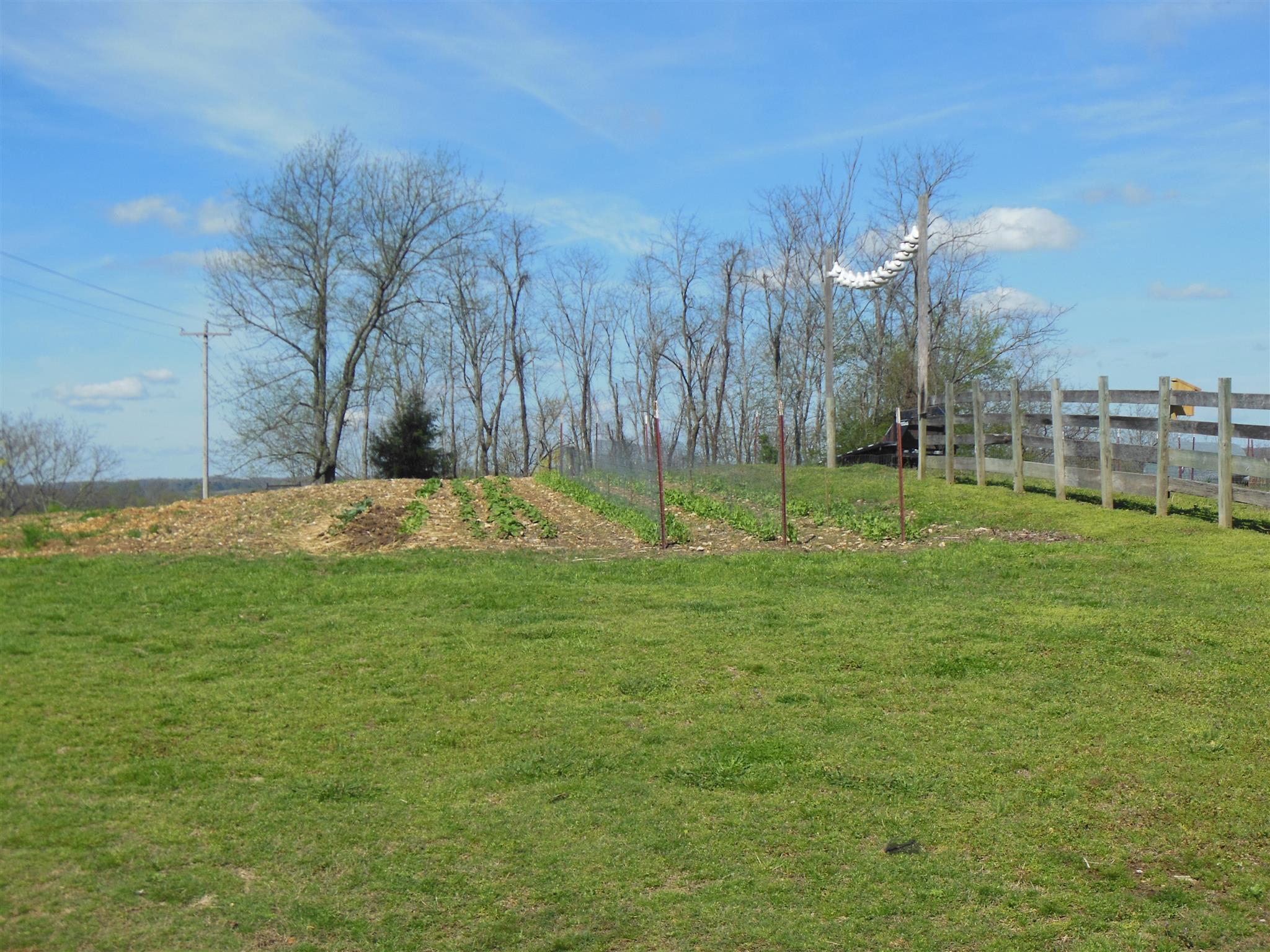 1345 Cochran Cemetery Road Lewisburg, TN 37091 - Photo 21 of 30 Gallery Image 21